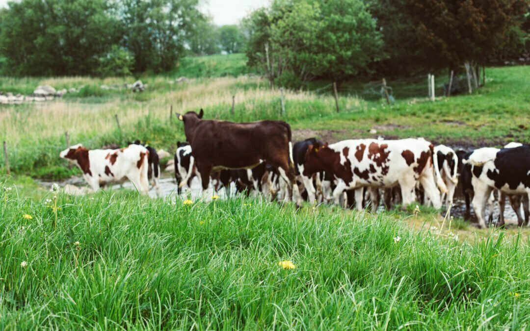 Sesongtillegg og prisløype 2 halvår 2025