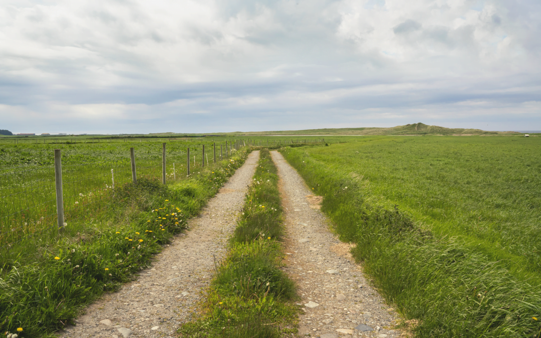 Personvernerklæring