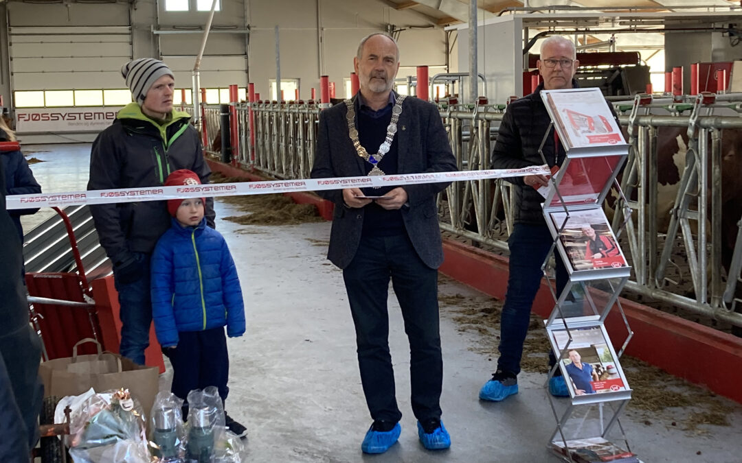 Fra åpent melkekufjøs på Indrebø