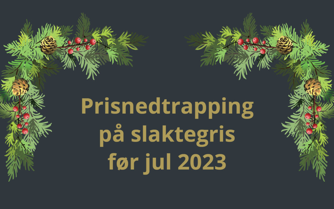 Prisnedtrapping på slaktegris før jul 2023