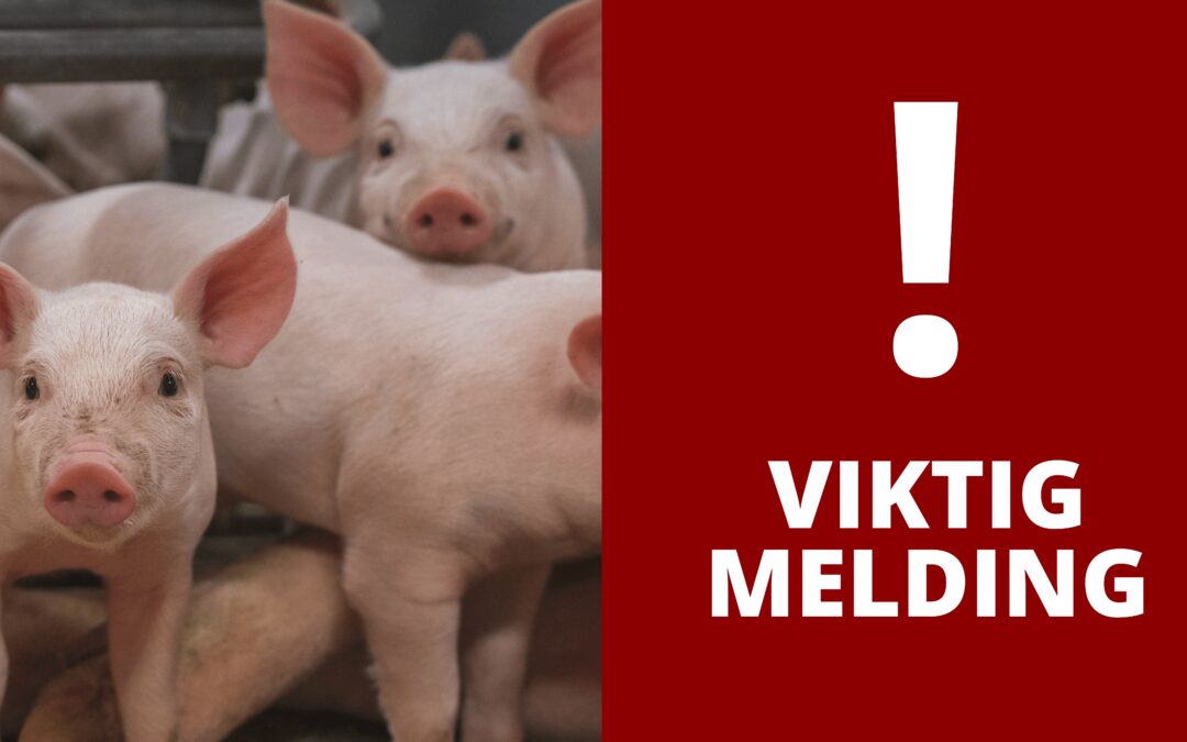 Innskjerping av regelverk!