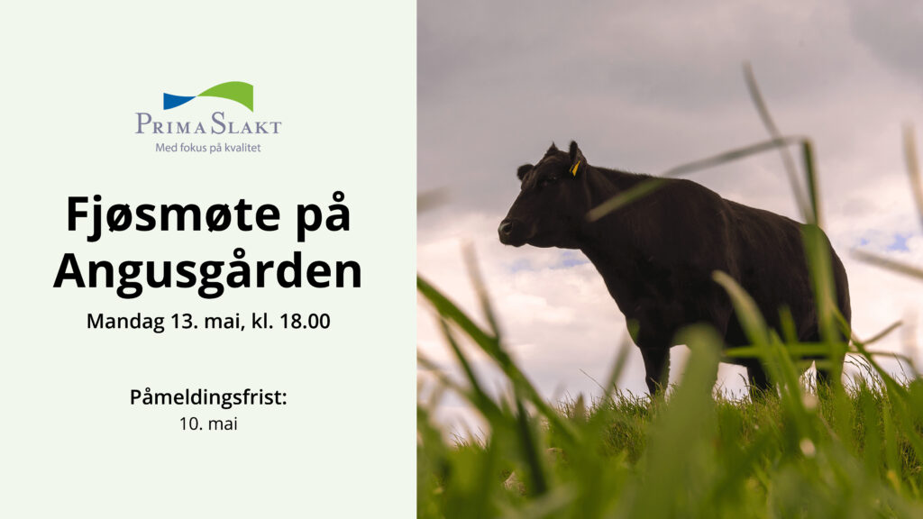 Angusgården 13.mai