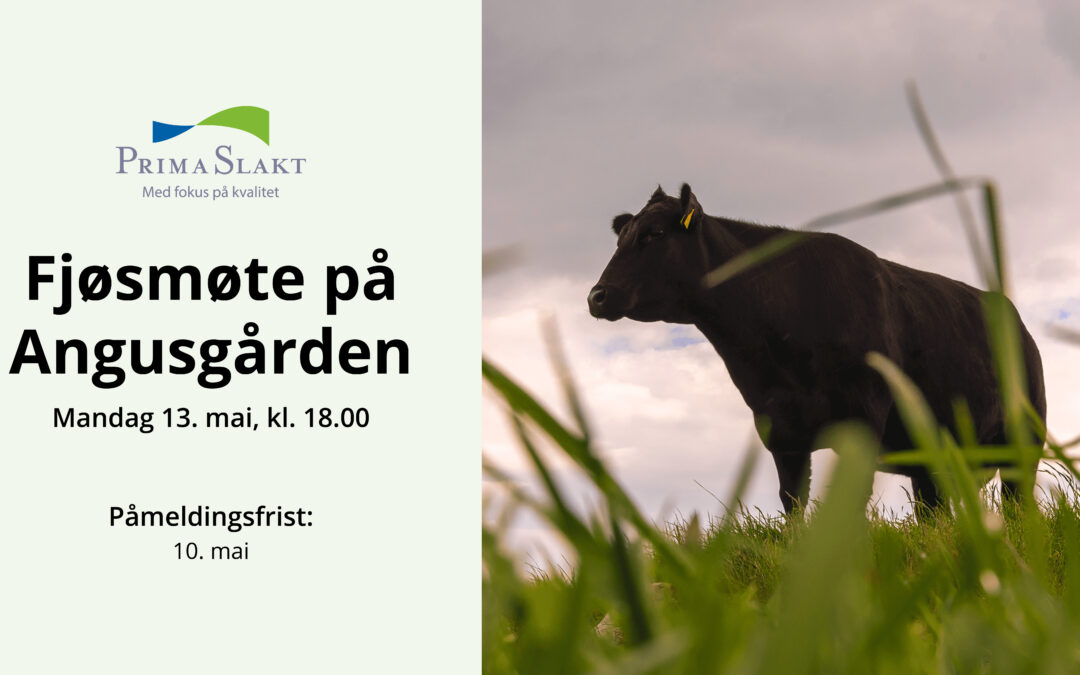 Fjøsmøte på Angusgården 13. mai