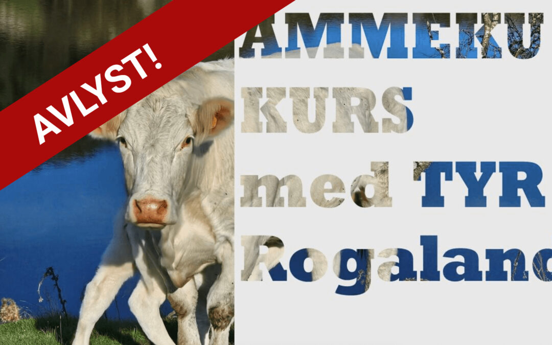 AVLYST / Velkommen til ammekukurs med TYR Rogaland