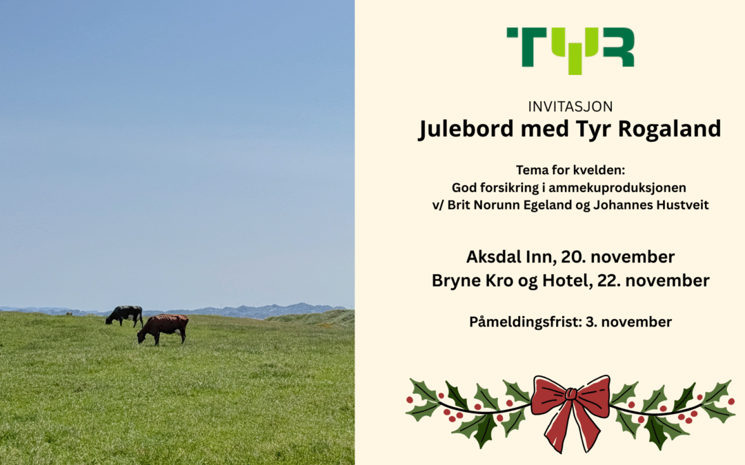 Julebord med Tyr Rogaland