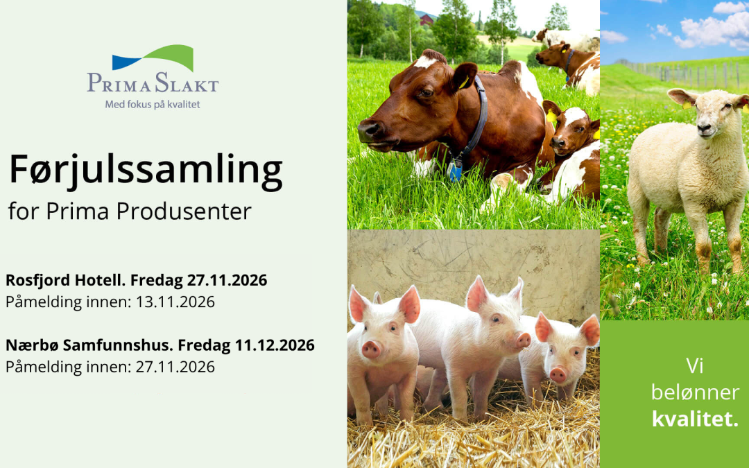 Førjulssamling for Prima Produsenter